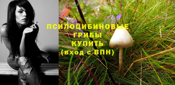 таблы Арсеньев