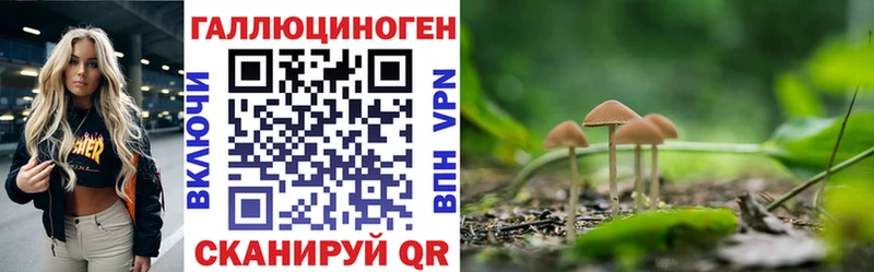 кракен как зайти  Аркадак  Галлюциногенные грибы Magic Shrooms 